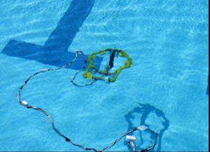 EventoRobotica (Cuerpo2)